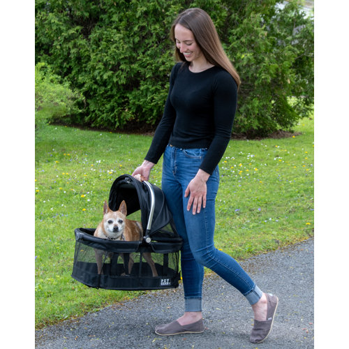 Pet Gear View 360 Pet Carrier & Reviews Wayfair